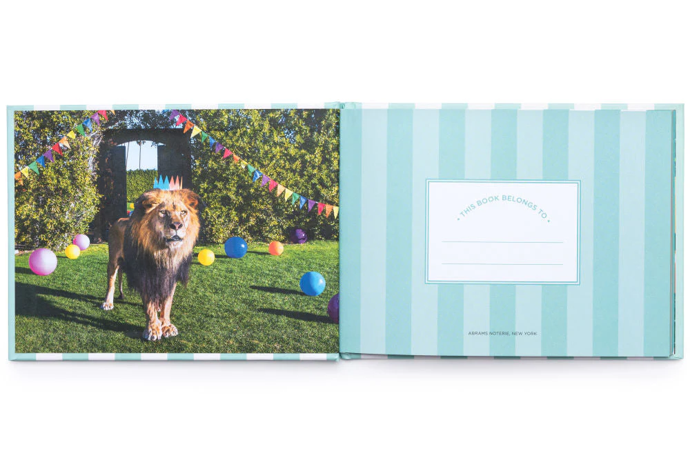 Baby Album & Photo Prop Card Set - Image 5
