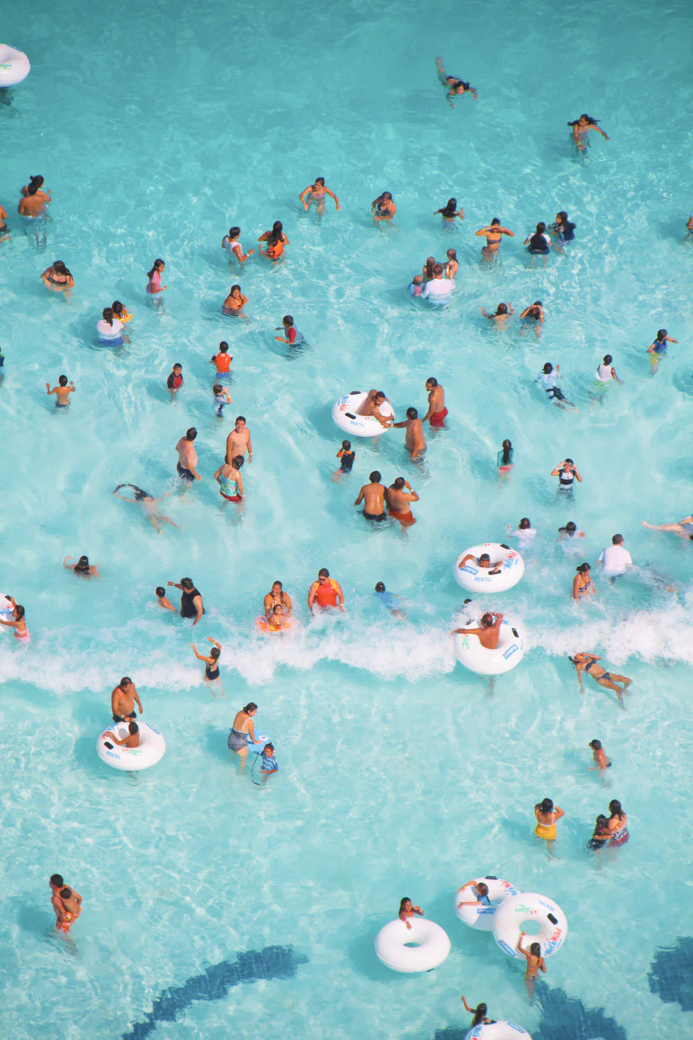 Caribbean Triptych - Image 3