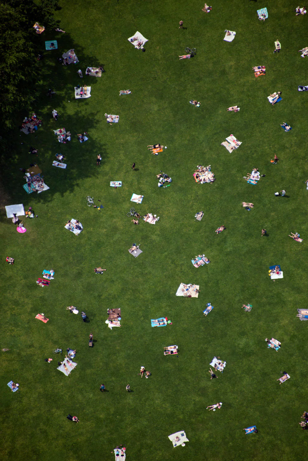Central Park Triptych - Image 2
