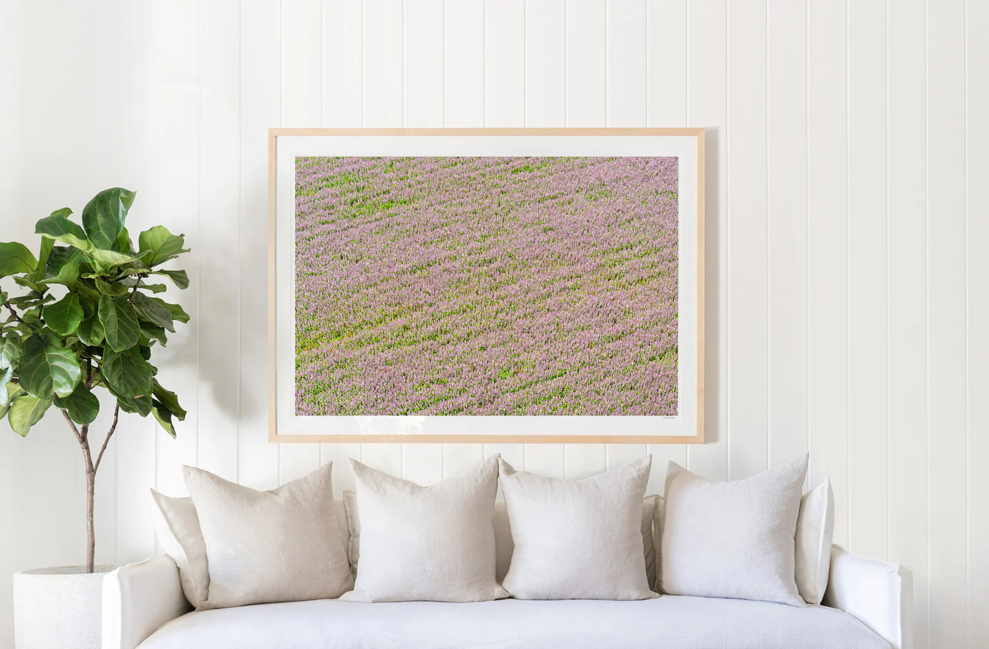Fields of Lavender, Provence - Image 2