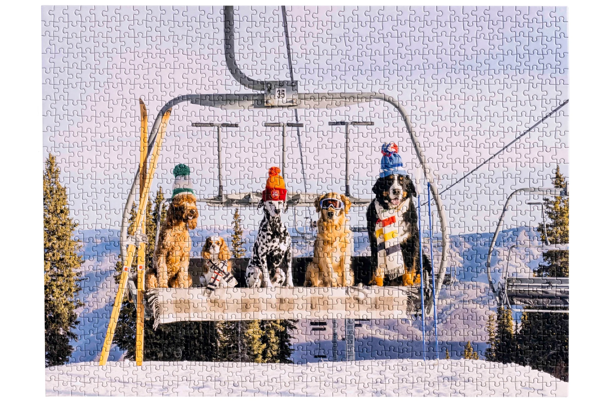 Gray Malin Aspen 1000 Piece Book Box Puzzle - Image 6