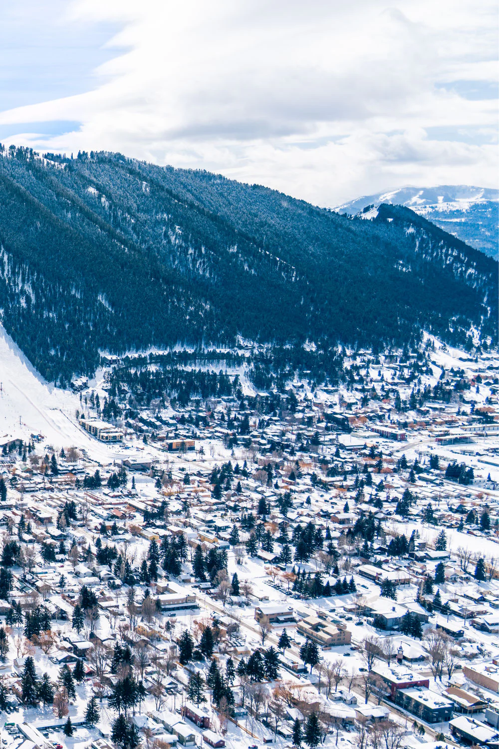 Jackson Hole Triptych - Image 3