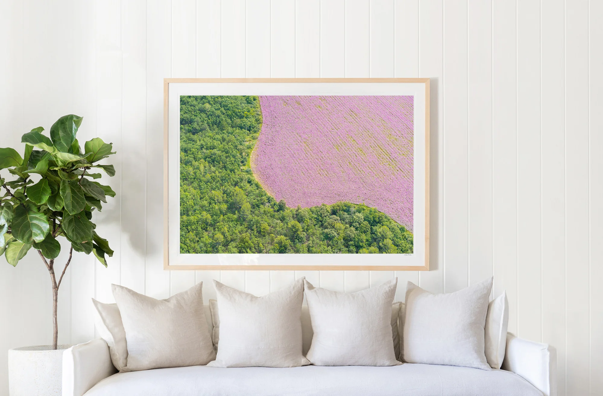Lavender Swirl, Provence - Image 2