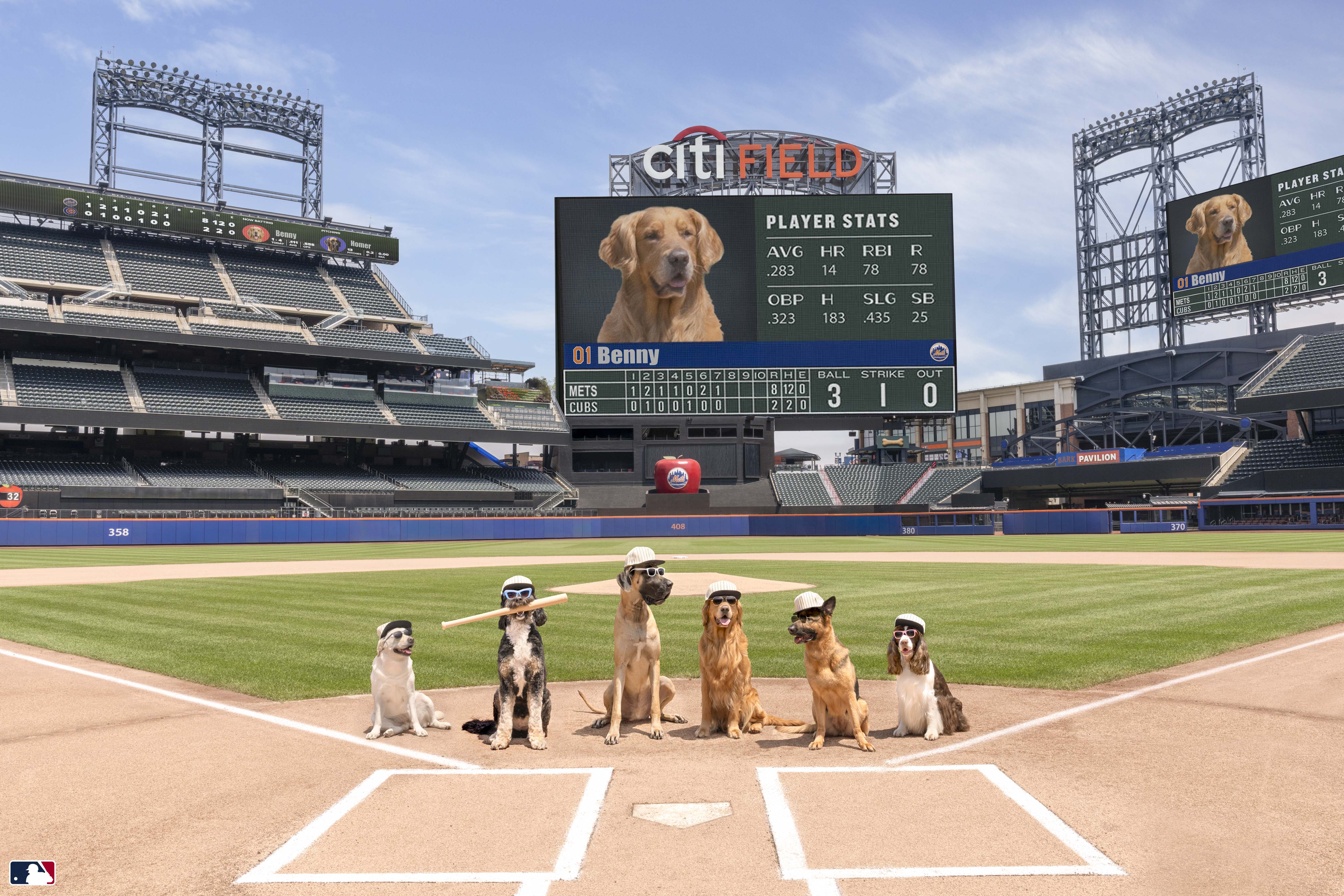 Let's Play Ball