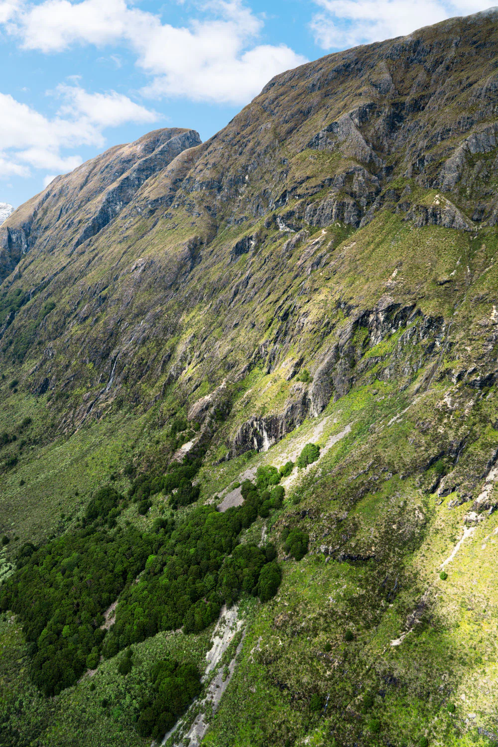Queenstown Valley Triptych, New Zealand - Image 3