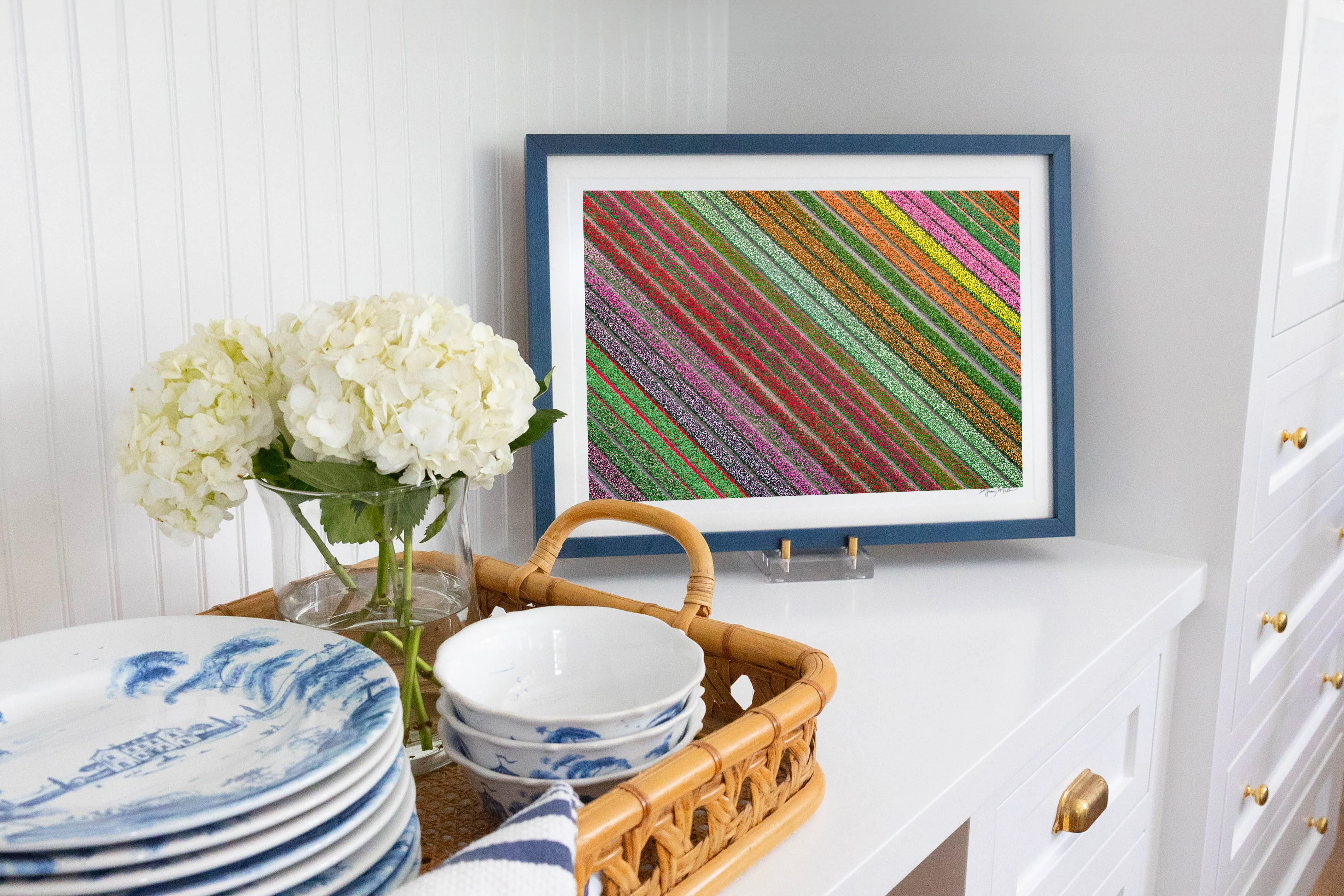 Rainbow Striped Tulip Fields, Netherlands - Image 5