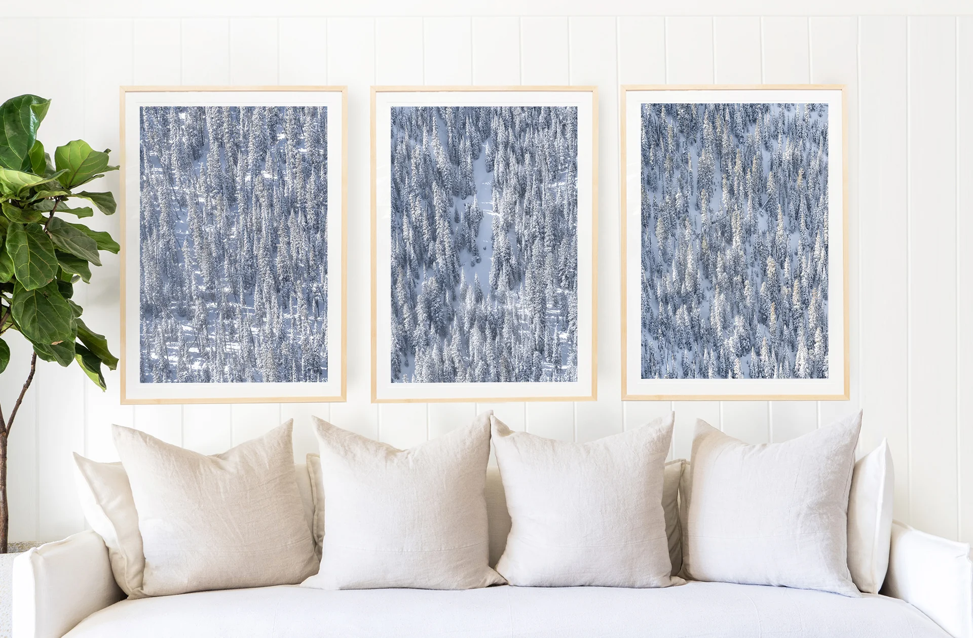 Snowy Trees, Yellowstone National Park Triptych - Image 4