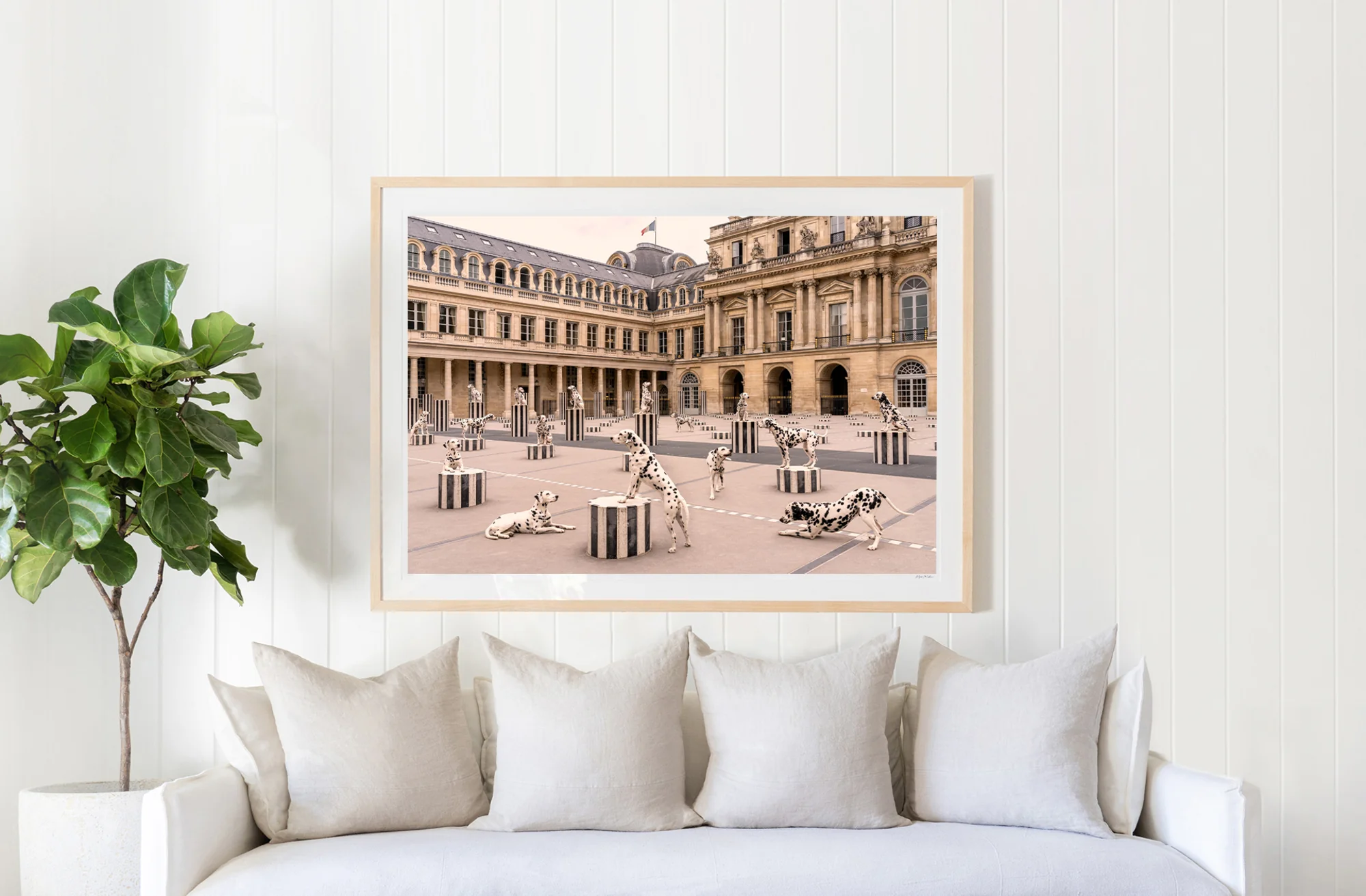 Spotted at Palais-Royal, Paris - Image 3
