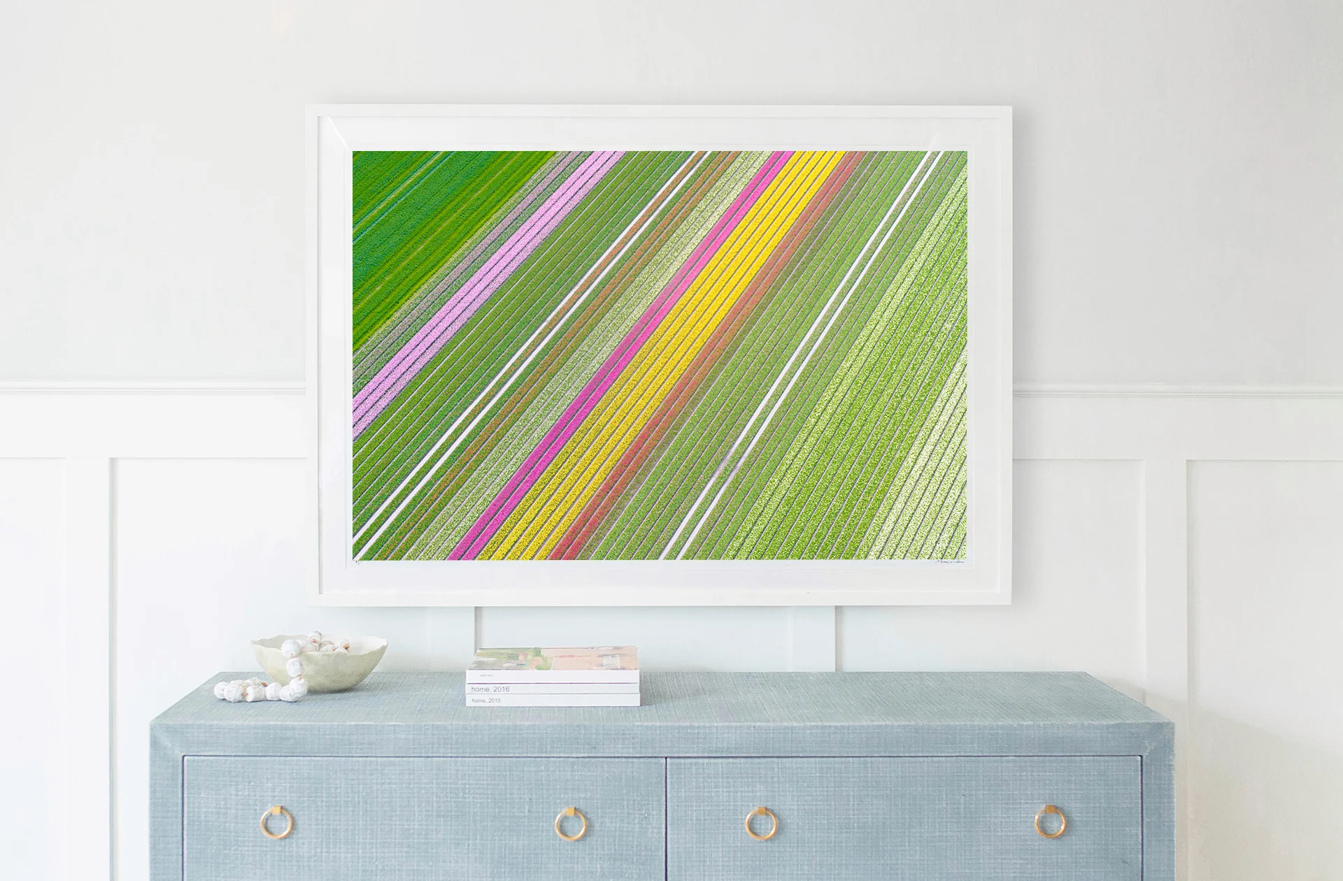 Spring Blooms, Dutch Tulip Fields, Netherlands - Image 2