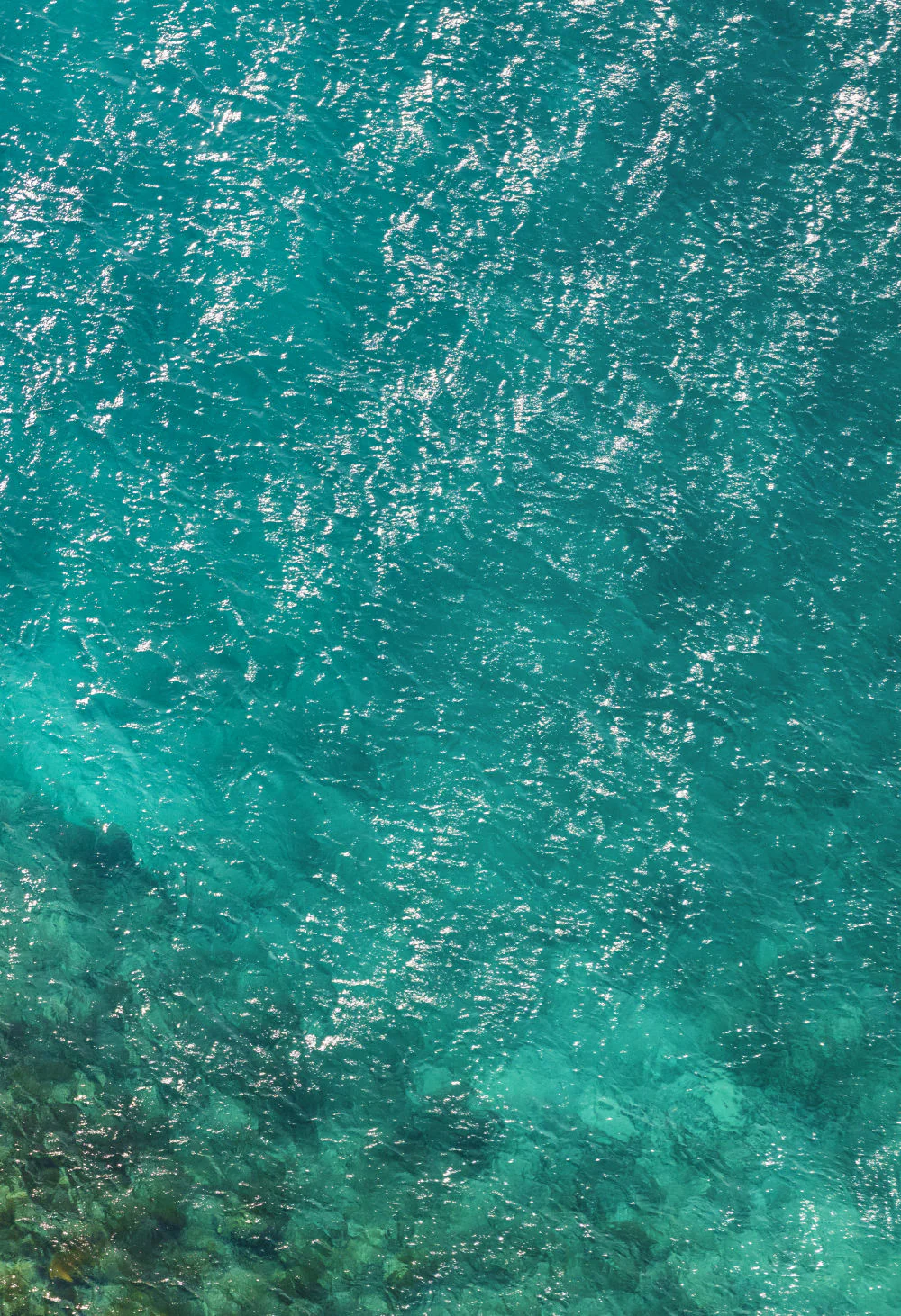St. Barths Surfer Triptych - Image 3