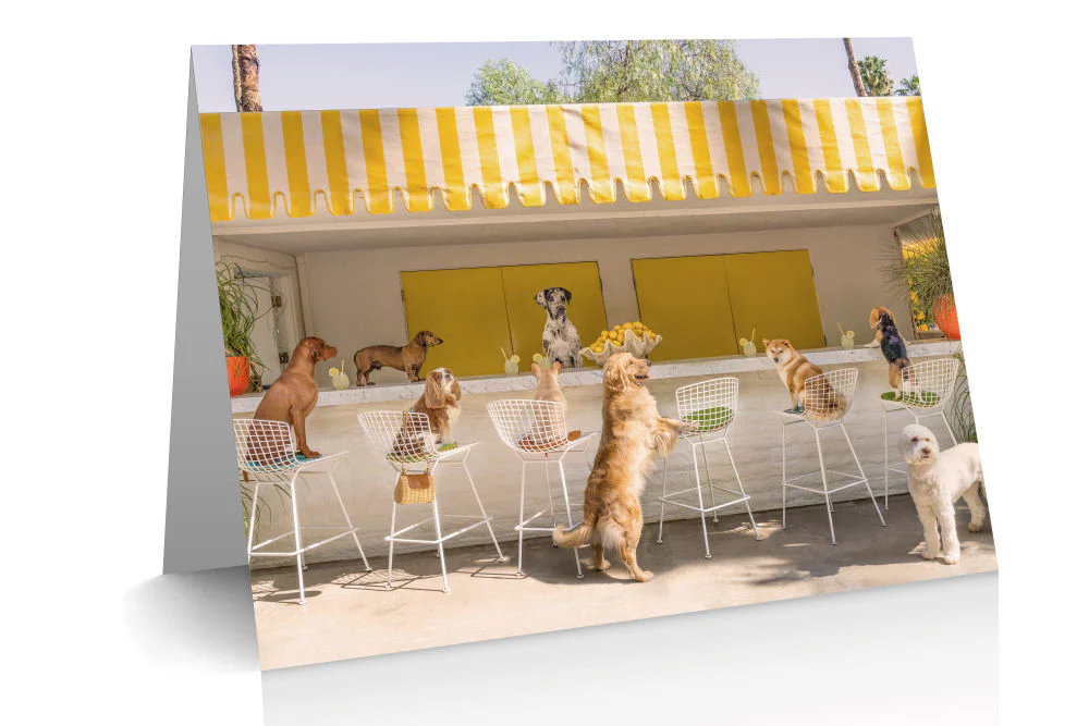 The Dogs Notecard Set - Image 7