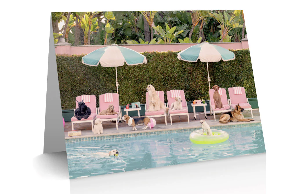 The Dogs Notecard Set - Image 9