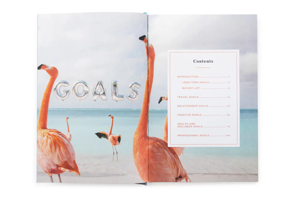 The Goals Guided Journal - Image 12
