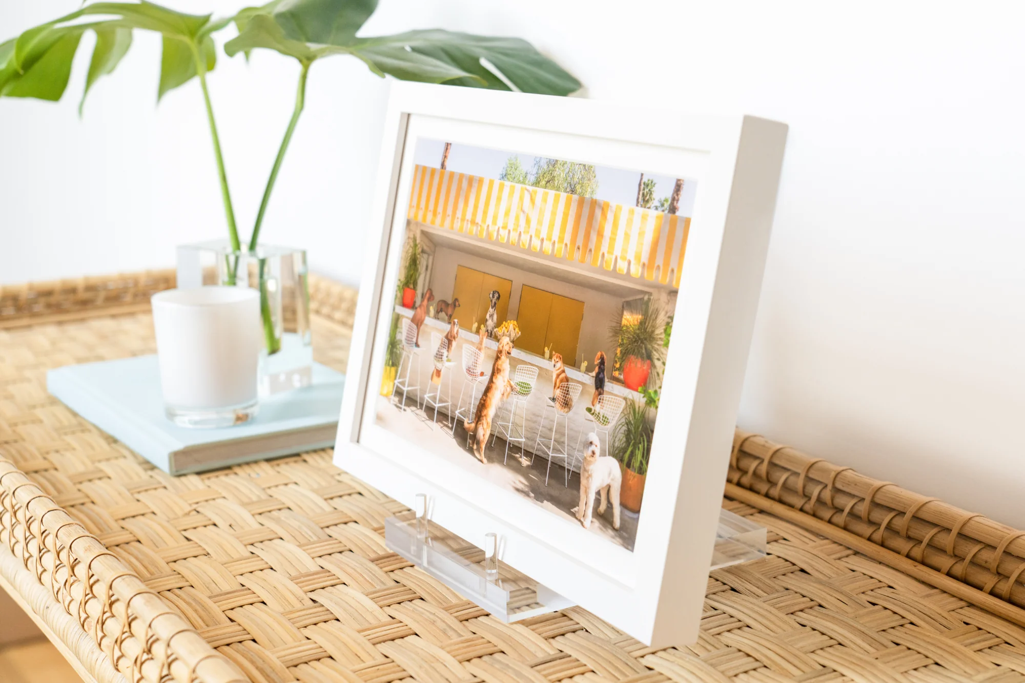 The Gray Malin Display Stand - Image 9