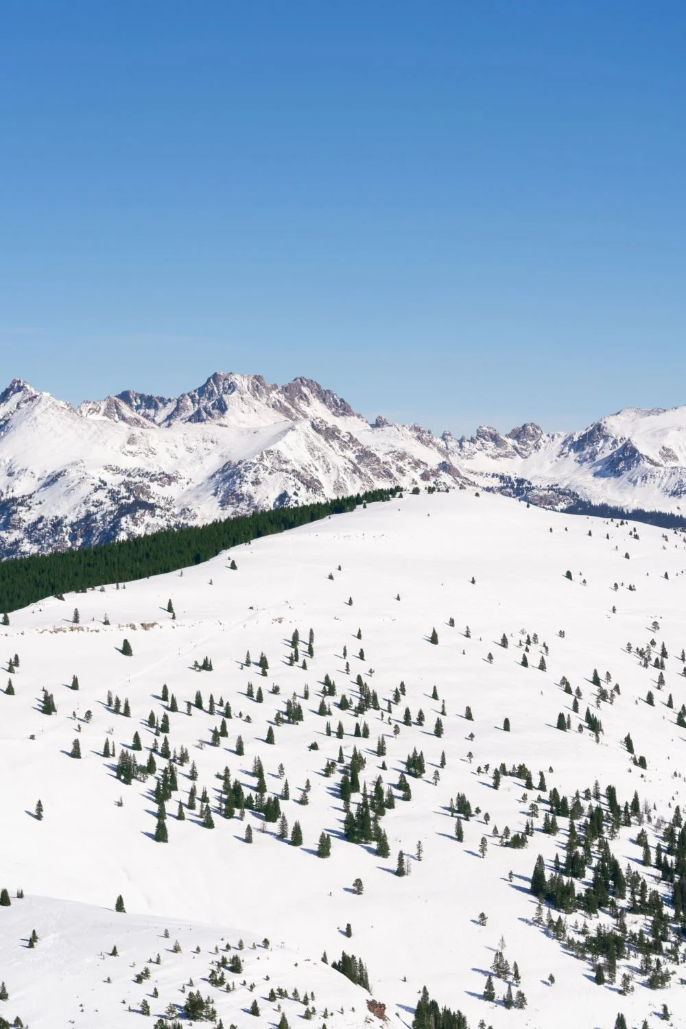 The Legendary Back Bowls Triptych, Vail - Image 3