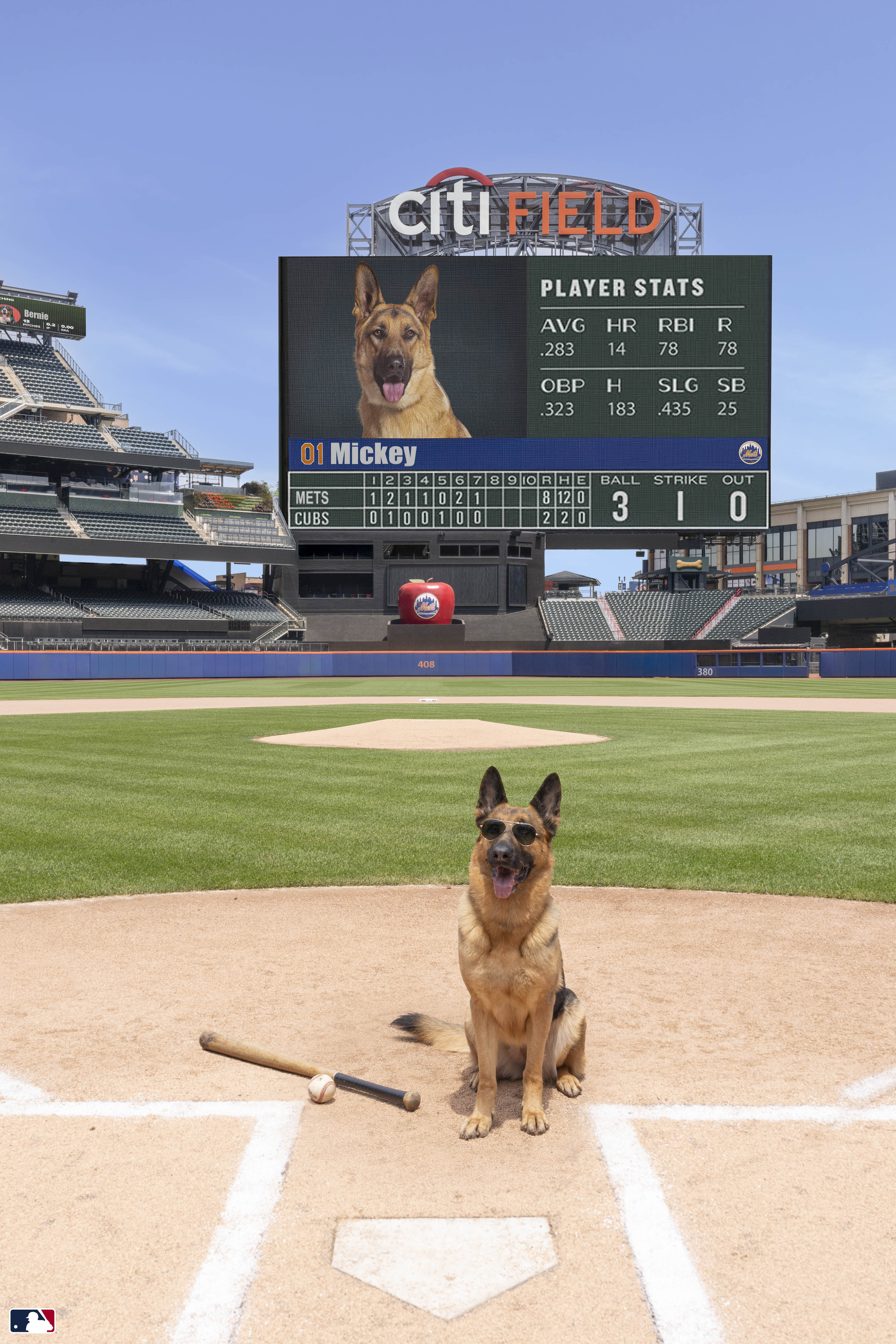 The Shortstop