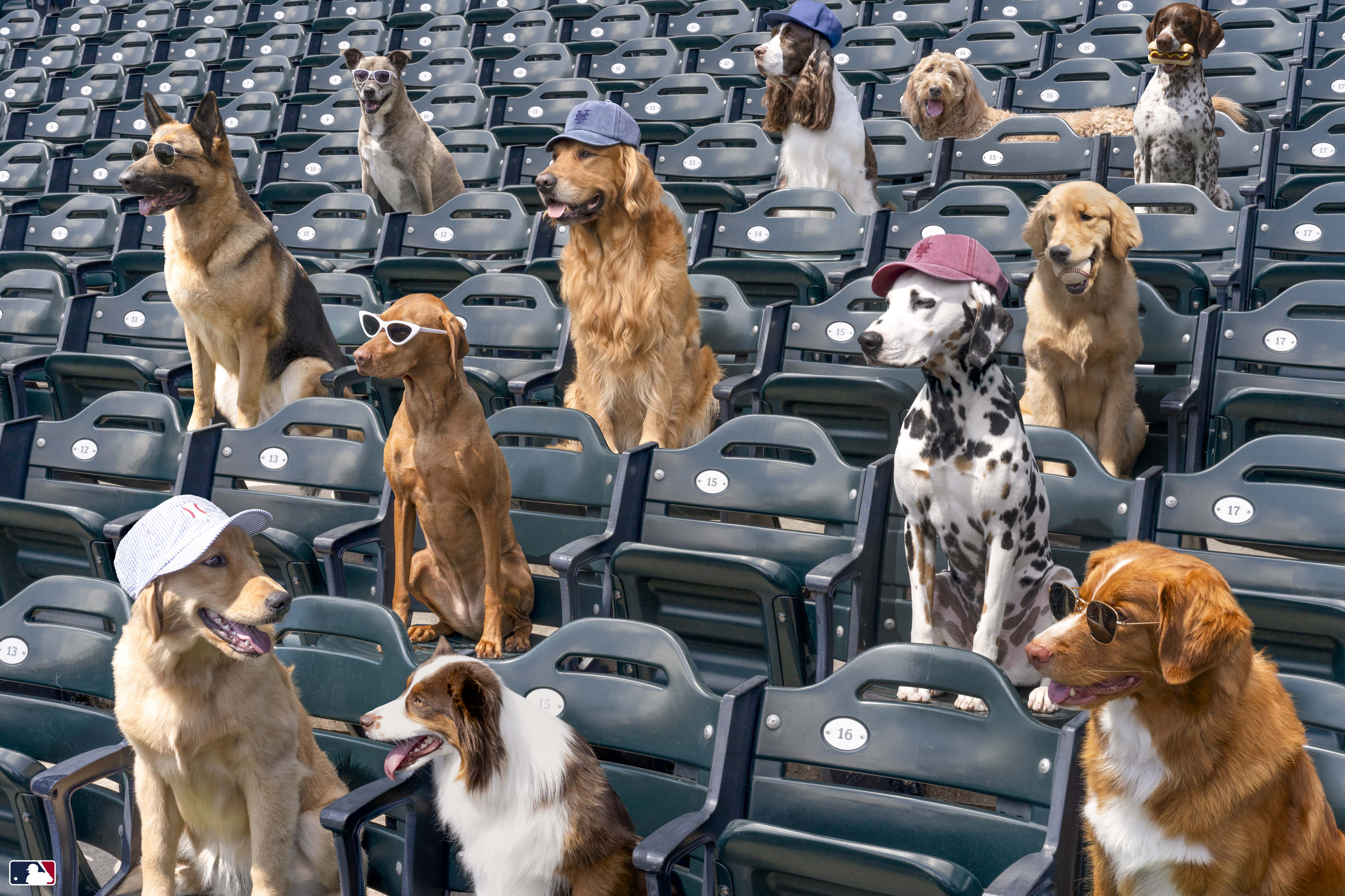 The Spectators