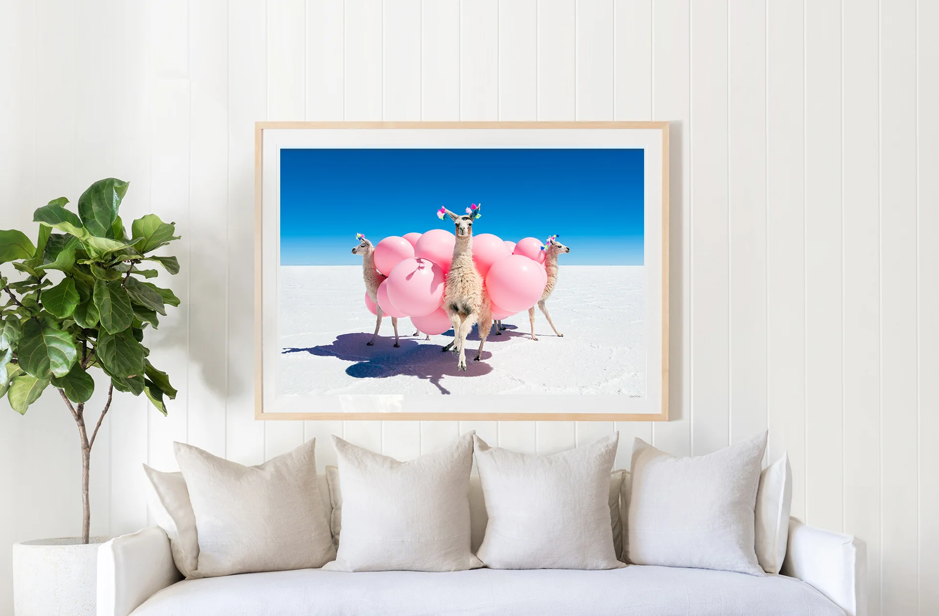 Three Llamas with Pink Balloons - Image 2