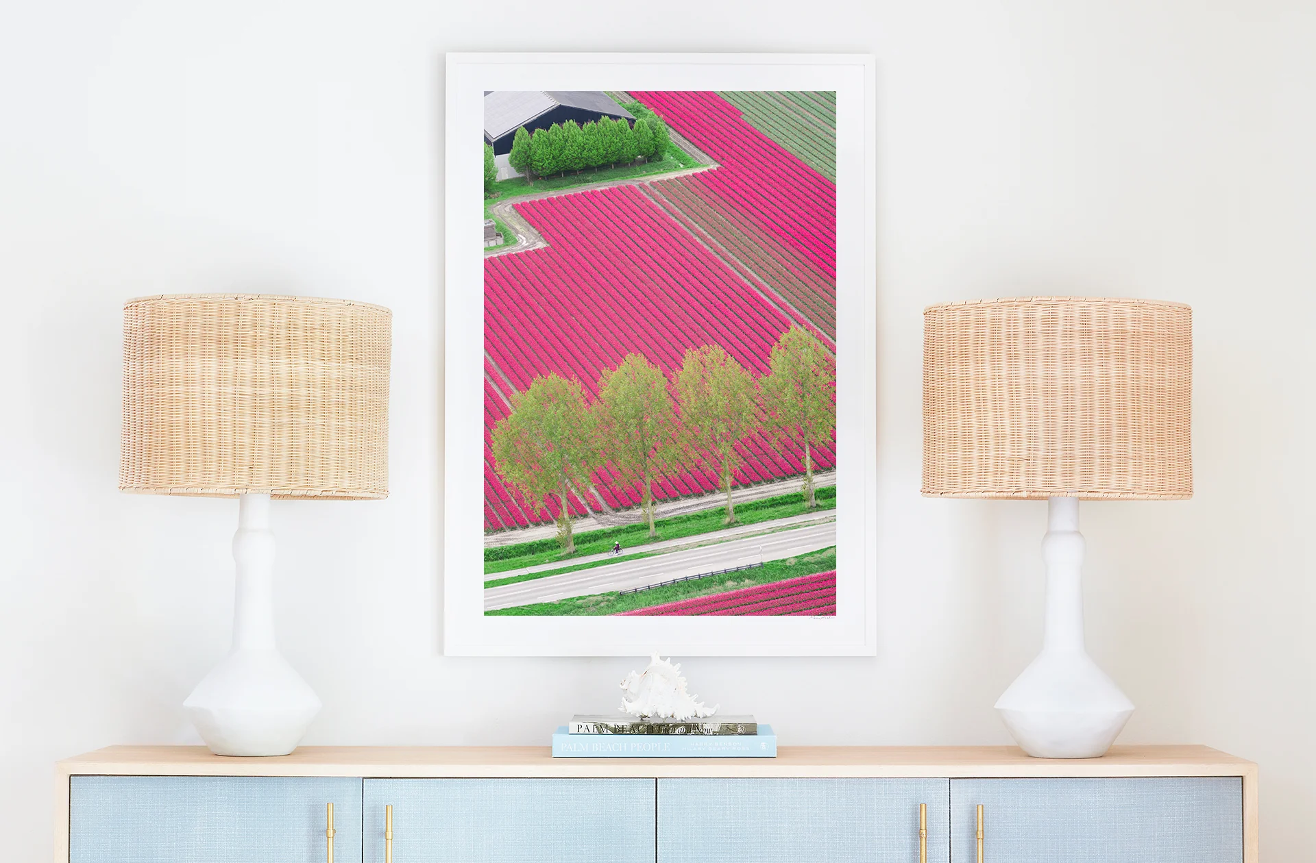 Tulip Farm, Netherlands - Image 3