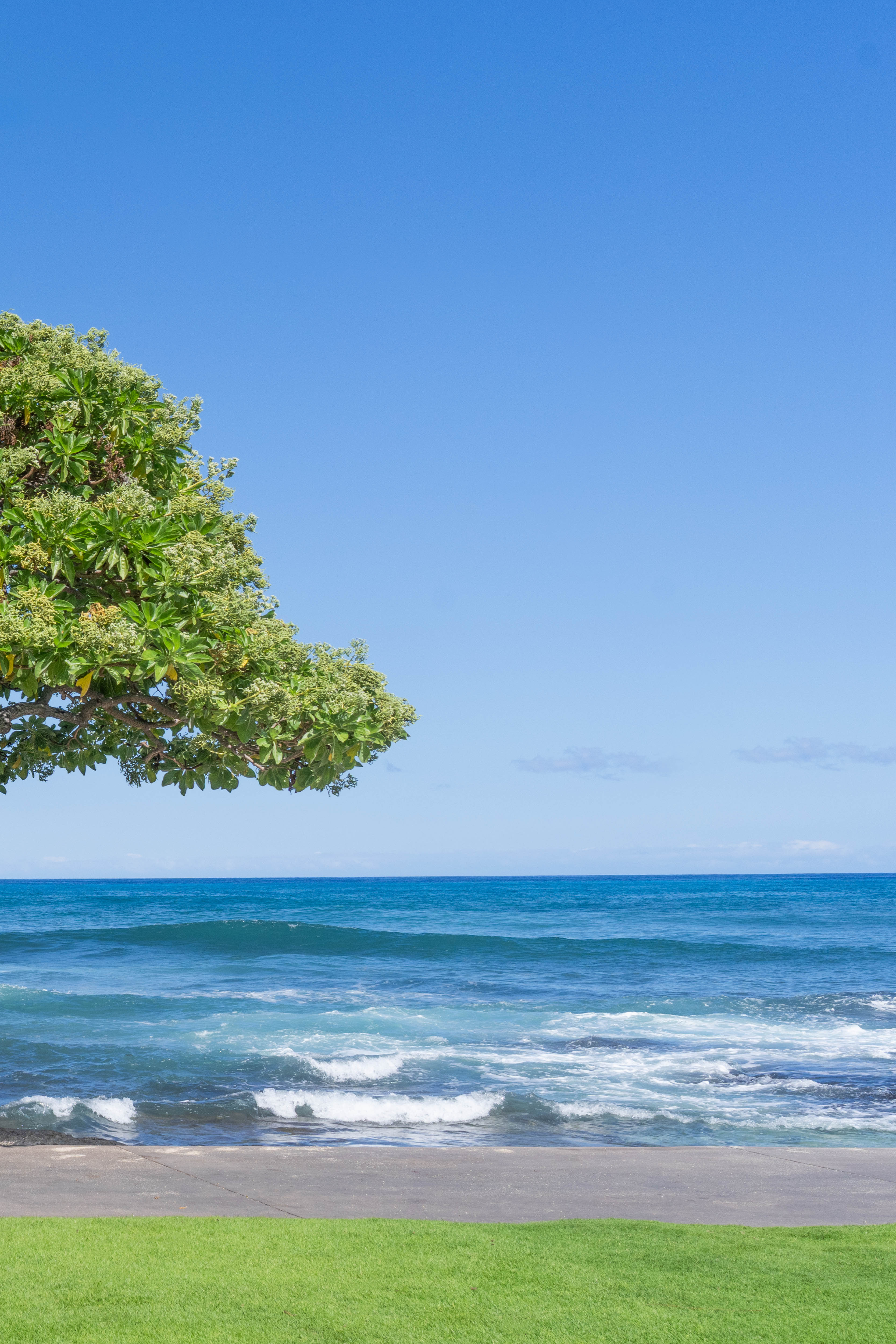Under the Beach Tree Triptych, Four Seasons Hualalai, Hawai’i - Image 3